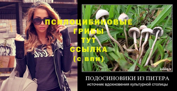 молекула духа Балабаново