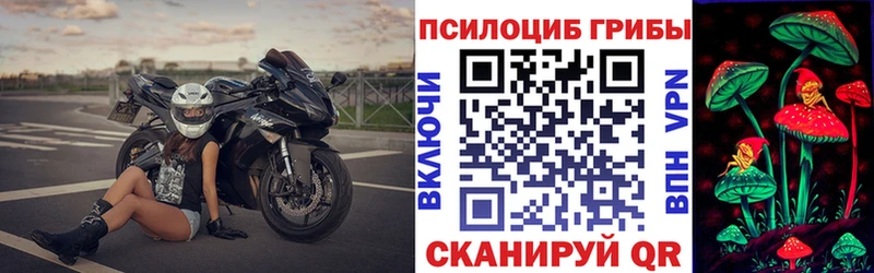 Псилоцибиновые грибы GOLDEN TEACHER Ермолино